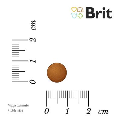 Упаковка Brit Fresh Chicken with Potato для щенков и молодых собак. Видны надписи: Healthy Growth, Fresh Chicken, с картофелем, гречкой, черной смородиной и петрушкой.