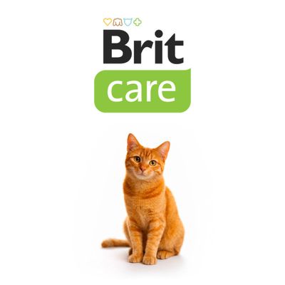 Brit Care Cat Paste Anti Hairball с таурином - 100 г