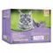Bozita Delicate Chunks in Sauce Senior 12 x 85 g paljon kanaa