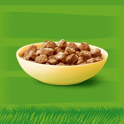 Schüssel mit braunen Fleischstückchen in Sosse vor grünem Hintergrund.