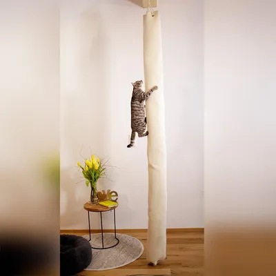 Chat gris accroché à un grand griffoir vertical en tissu beige suspendu au plafond, dans un salon avec table basse et vase de fleurs jaunes visibles. Chat gris accroché à un grand griffoir vertical en tissu beige suspendu au plafond, dans un salon avec table basse et vase de fleurs jaunes visibles.