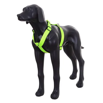 Schwarze Hundemodel-Figur mit neongrüner Geschirr aus Nylon, verstellbar mit Metallringen und Schnallen. Schwarze Hundemodel-Figur mit neongrüner Geschirr aus Nylon, verstellbar mit Metallringen und Schnallen.
