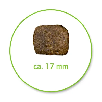 Ein einzelnes Stück Trockenfutter mit einer Grösse von ca. 17 mm, dargestellt in einem grünen Kreis.
