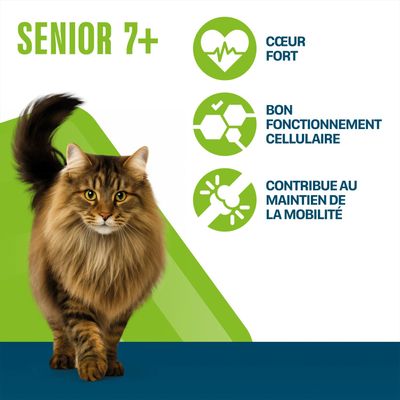 Senior 7+, cœur fort, bon fonctionnement cellulaire, contribue au maintien de la mobilité.