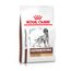 Royal Canin Veterinary Canine Gastrointestinal High Fibre Sparpaket: 2 x 14 kg