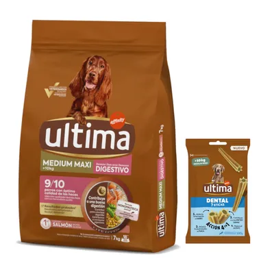 Ultima: karma sucha + Dental Sticks Medium / Maxi, 180 g gratis! - Medium / Maxi Digestive Well-Being, łosoś, 7 kg
