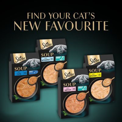 Sheba Soup with tuna, whitefish, salmon or chicken, each 4 x 40g. MSC and ASC certification visible.