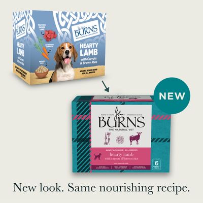 Burns Hearty Lamb, Vegetables & Brown Rice - dog wet food - 6 x 395g
