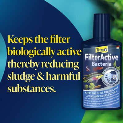 Tetra FilterActive Bacteria: Keeps the filter biologically active and reduces sludge, as well as harmful substances.