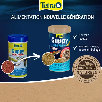 Tetra Guppy Mini Flakes avec une nouvelle formule, un nouveau design et un nouvel emballage. Contient des ingrédients naturels, sans conservateurs ni colorants ajoutés.