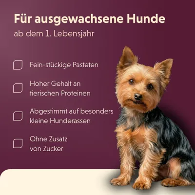 Für ausgewachsene Hunde ab dem 1. Lebensjahr: Fein-stückige Pasteten, hoher Gehalt an tierischen Proteinen, abgestimmt auf kleine Hunderassen, ohne Zusatz von Zucker.