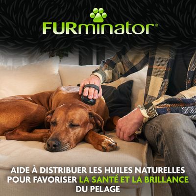 FURminator outil de toilettage utilisé sur le chien. Texte : Aide à répartir les huiles naturelles et favorise la santé ainsi que la brillance du pelage.