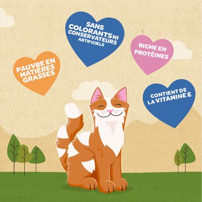 Sans colorants ni conservateurs artificiels, pauvre en matières grasses, riche en protéines, contient de la vitamine E. Texte en français belge.