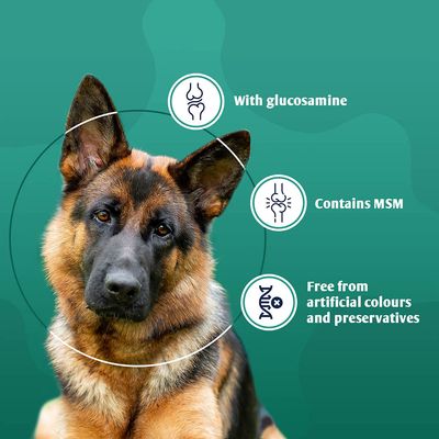 8in1 Vitality glukosamin + MSM tabletter