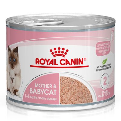 Royal Canin Mother & Babycat, 1–4 months, Ultra Soft Mousse, no preservatives, Stage 2, can with cat image.