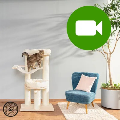 Przycisk odtwarzania wideo. Kliknij tutaj, aby obejrzeć film prezentujący drapak dla kota ustawiony obok fotela i rośliny doniczkowej.