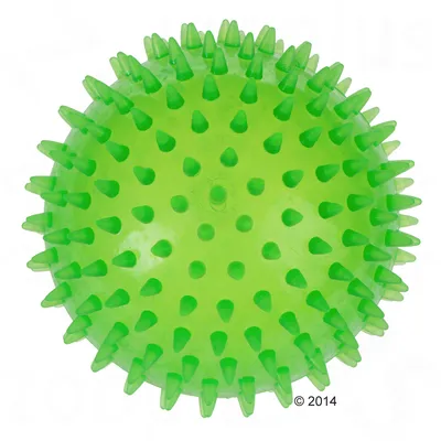 TPR Spiky Ball large TPR Spiky Ball large