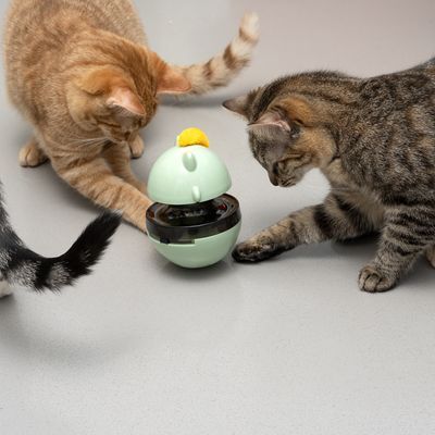 Twee katten spelen met een ronde, mintgroene kattenspeelgoedbal met zwarte middenring en gele pluizige bal bovenop. Gemaakt van kunststof. Kattenpootjes raken het speelgoed aan.