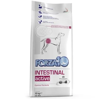 Forza10 Intestinal Active Canine Formula -koiranruokapakkaus, 10 kg. Pakkauksessa koirakuva ja tekstiä englanniksi, näkyvissä myös Active Fresh System -symboli.