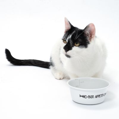 Bielo-čierna mačka pri bielej miske s čiernym nápisom „Bon Appetit“ a rybím motívom. Miska má na vnútornej strane odmerku do 200 ml.