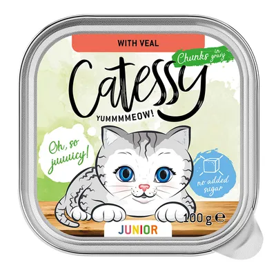 Catessy Junior krmivo pro kočky s telecím, kousky v omáčce, bez přidaného cukru, 100g. Ilustrace šedé kočky s modrýma očima a textem 'Oh, so juicy!'