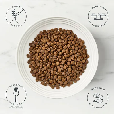 Encore Cat Pollo  - 2 x 800 g