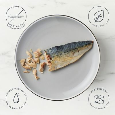 Sachet de 30 g Encore Treat pour chat, filet de maquereau, texte visible : 100% natural ingredients, Mackerel Fillet, image d’un chat sur l’emballage.