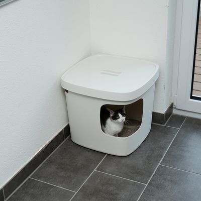 White cat litter box with square opening, cat sitting inside. Suitable for discreet placement in corners.