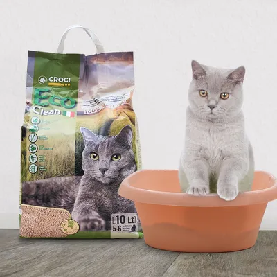 Croci Eco Clean żwirek dla kotów, 10 litrów, 100% naturalny. Opakowanie z obrazem szarego kota. Szary kot siedzi w pomarańczowej kuwecie.