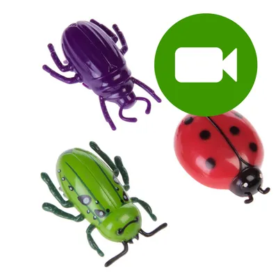 Przycisk odtwarzania filmu. Kliknij tutaj, aby obejrzeć wideo produktu z trzema zabawkami w kształcie owadów: fioletowy, zielony i czerwony z czarnymi kropkami.