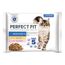 Perfect Fit Indoor 1+ Kattenvoer Mixpakket: Kip Kip en Zalm 52 x 85 g