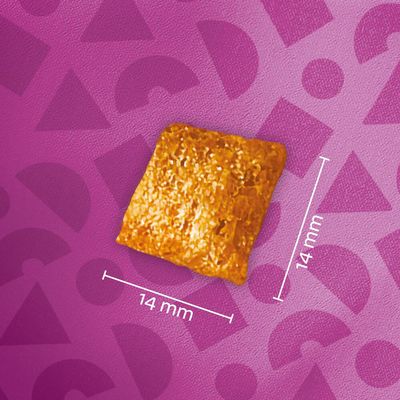 Yksi neliönmuotoinen lemmikkien ruokanappula, koko 14 x 14 mm, mitat merkitty kuvassa.