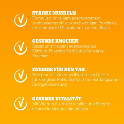 Starke Muskeln, gesunde Knochen, Energie für den Tag und gesunde Vitalität. Rezepturen mit Proteinen, Kalzium-Phosphor, Weizenvollkorn und Vitamin B zur Unterstützung von Hundegesundheit.