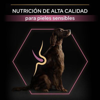 Texto: Nutrición de alta calidad para pieles sensibles. Imagen de un perro marrón sentado dentro de un hexágono rosa con gráfico estilizado sobre el lomo.