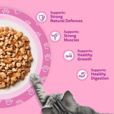 Whiskas Junior Pouches 84 x 85g - Poultry Feasts in Jelly
