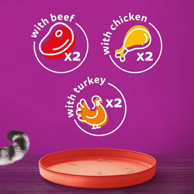 Contains two portions each with beef, chicken, and turkey, shown by icons and text: 'with beef x2', 'with chicken x2', 'with turkey x2'.