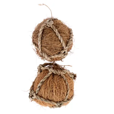 TIAKI Μπάλες Iνών Kαρύδας - σετ 2 τμχ., Ø 6 cm