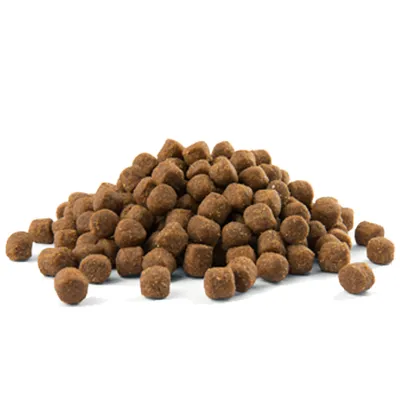 Croquettes brunes en forme de petites boules, présentées en tas sur fond blanc. Aucun emballage ni marque visible.
