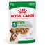 Royal Canin Mini Ageing umido in salsa per cane 12 x 85 g