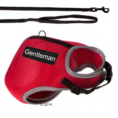 Peitoral vermelho para cão com etiqueta 'Gentleman' e trela preta incluída. Materiais visíveis: tecido, plástico e metal.