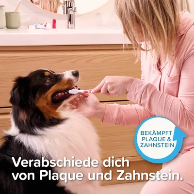 Beaphar Zahnpasta Leber - 100 g
