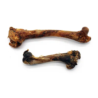 Zwei getrocknete Knochen, geeignet als Kausnack. Sichtbare natürliche Struktur und braune Farbgebung.
