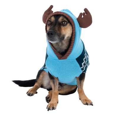 Pies w jasnoniebieskim swetrze z brązowymi akcentami poroża i ciemnoniebieskim wzorem.