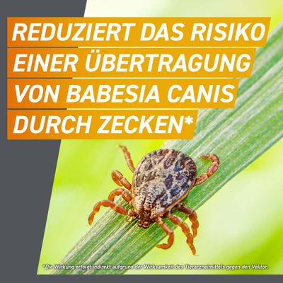Frontpro Kautablette gegen Zecken und Flöhe, für Hunde >25 bis 50 kg