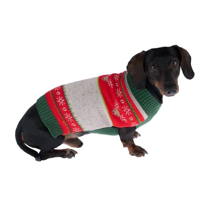 Chien portant un pull en tricot à motifs rouges, verts et blancs avec flocons de neige et têtes de renne visibles. Pull couvrant le dos et le cou du chien.