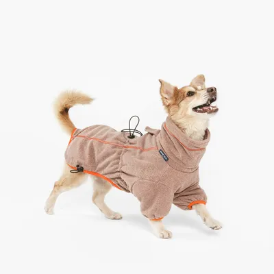 Chien portant un manteau en tissu beige avec bordures orange et cordons de serrage visibles, étiquette bleue sur le côté du manteau.