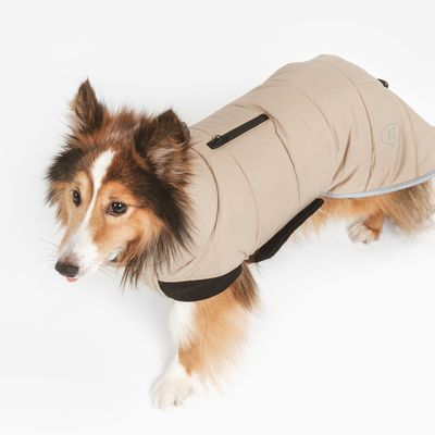 Hund iført beige hundefrakke med lynlåslomme og sort detalje. Frakken viser logoen 'NT'.