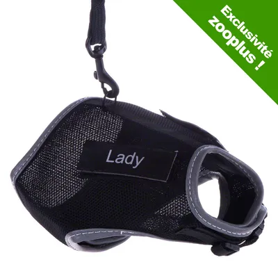 Harnais noir en tissu avec étiquette « Lady », accroché à une laisse, texte en haut à droite : Exclusivité zooplus ! Harnais noir en tissu avec étiquette « Lady », accroché à une laisse, texte en haut à droite : Exclusivité zooplus !