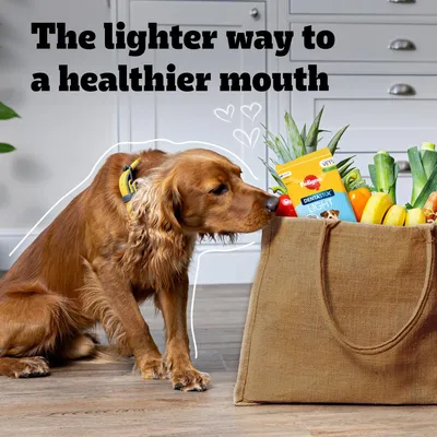 Text reads: The lighter way to a healthier mouth. Image shows a dog sniffing a shopping bag filled with fruit, vegetables and a pack labelled Dentastix Light.