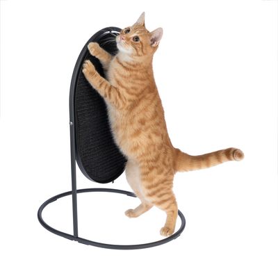 Κόκκινος γάτος χρησιμοποιεί μαύρο ξύστρα με οβάλ σχήμα και μεταλλική βάση.